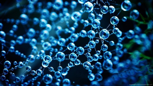dew-water-drops-on-a-spider-web